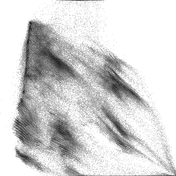 jbeanc-histo